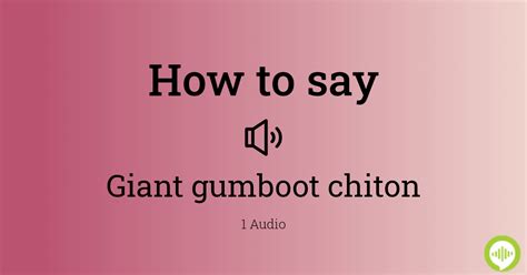 gumboots pronunciation
